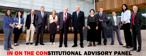 constitutional-advisory-panel-in-on-the