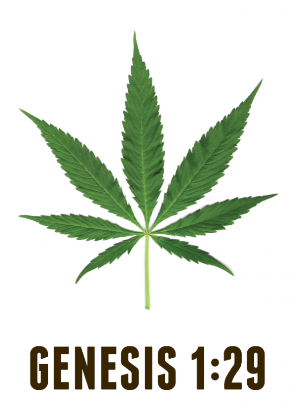 genesis-1-29