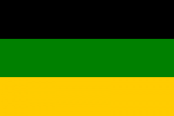 800px-African_National_Congress_Flag.svg