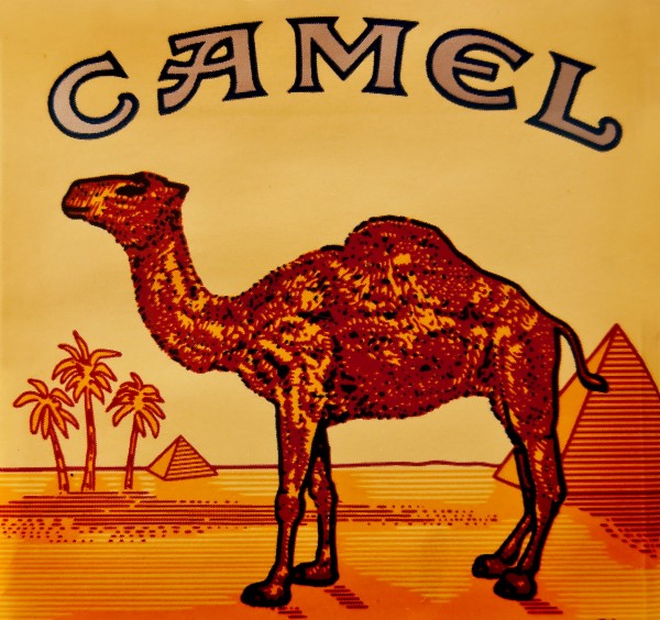 camel-cigarettes-pack