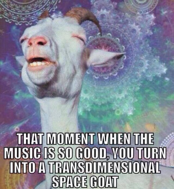 funny-lol-music-is-so-good-transdimensional-space-goat-humor-joke-meme-photo-picture