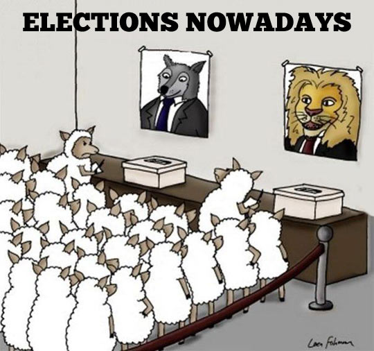 funny-elections-animals-sheep-fox-lion1