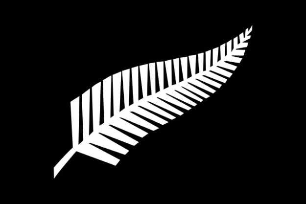 Silver_fern_flag.svg