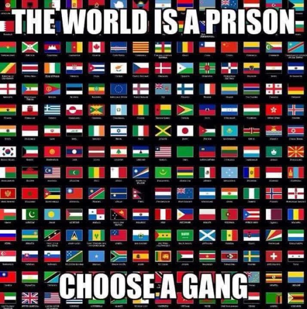 the_world_is_a_prison_choose_a_gang
